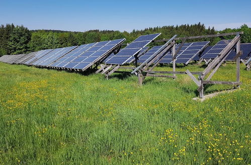 美國太陽能巨頭破產(chǎn) 為何太陽能產(chǎn)業(yè)遭遇寒冬？