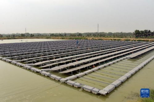 孟加拉國首個(gè)水上漂浮太陽能光伏發(fā)電站 綠色能源革新與技術(shù)服務(wù)新篇章
